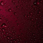 Ανώνυμο-Λογότυπο-9-300x300