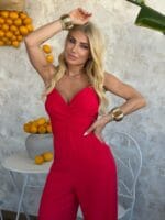 IMG-450cf901a03732b28e61537e2c76fcb0-V